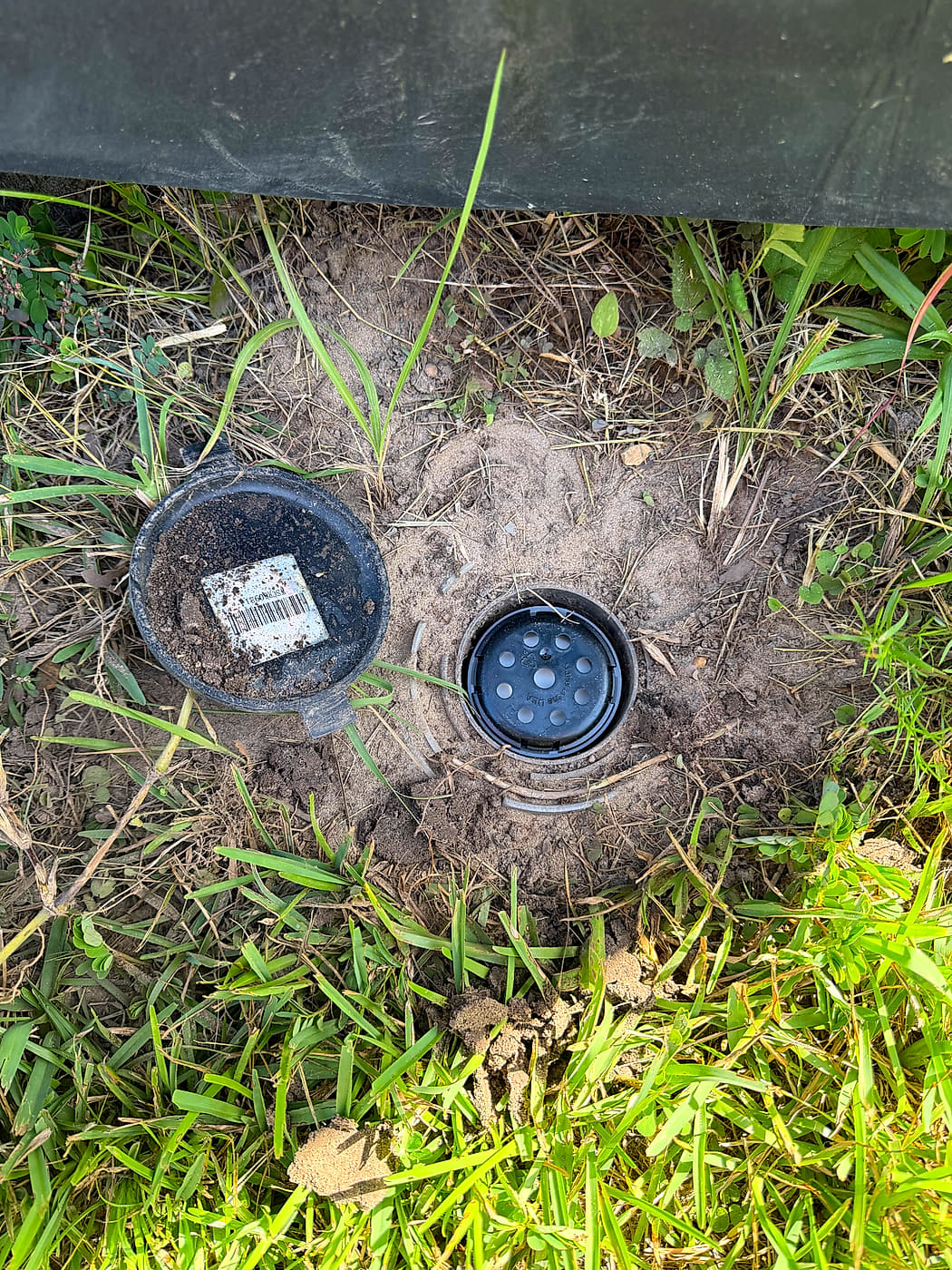 A termite bait station set in the ground beside a house, its lid lifted off