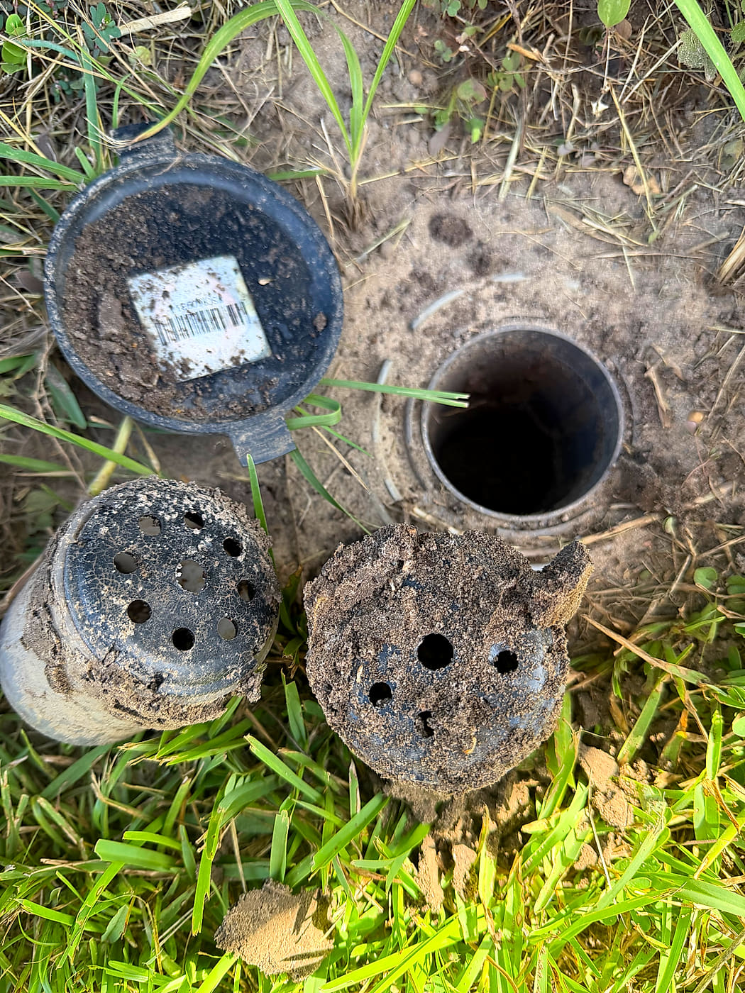 Parker's Pest Management in-ground termite bait stations lifted out of the soil, monitoring inserts showing