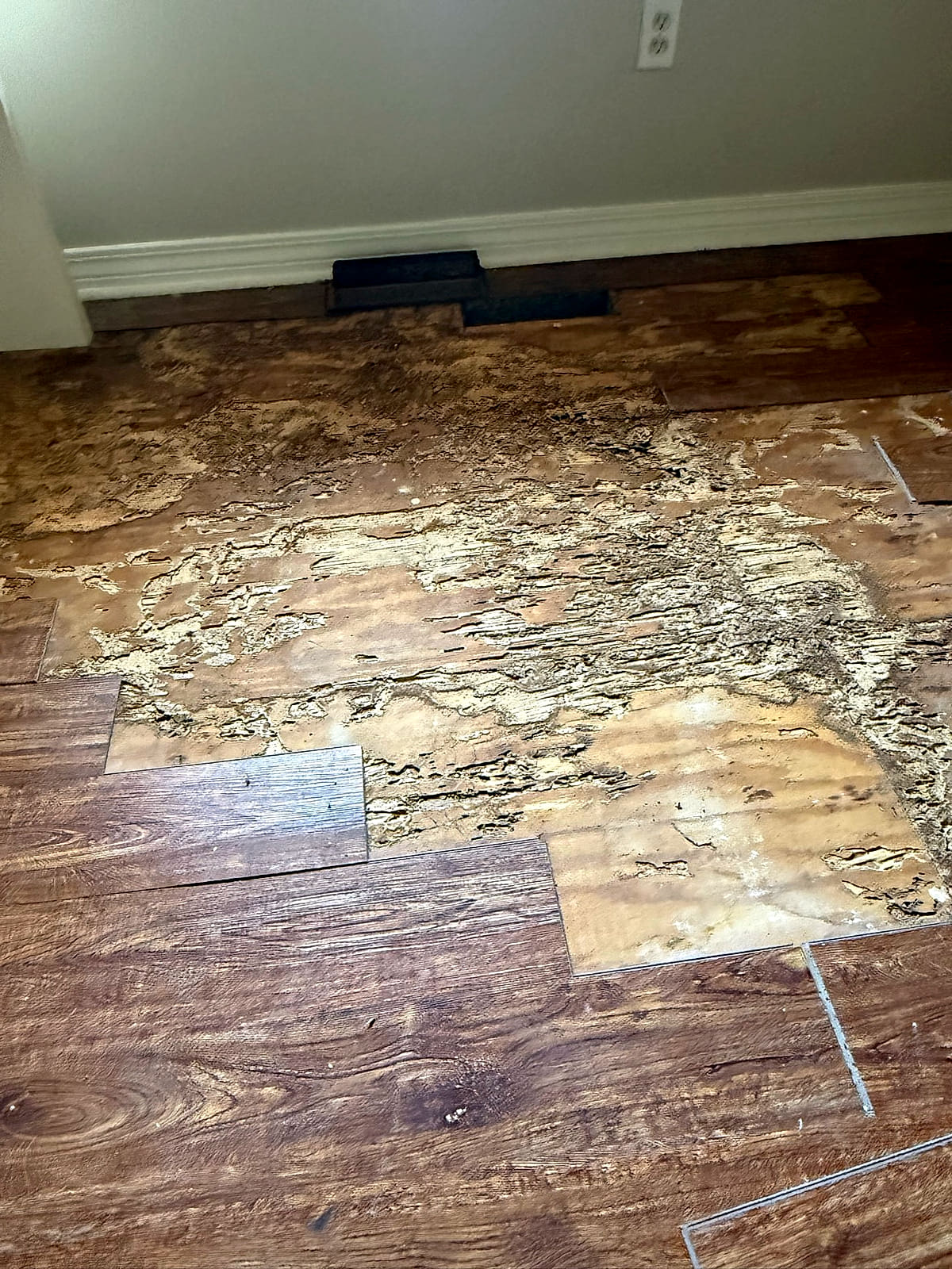 Laminate flooring lifted, showing mud packed on the decking underneath