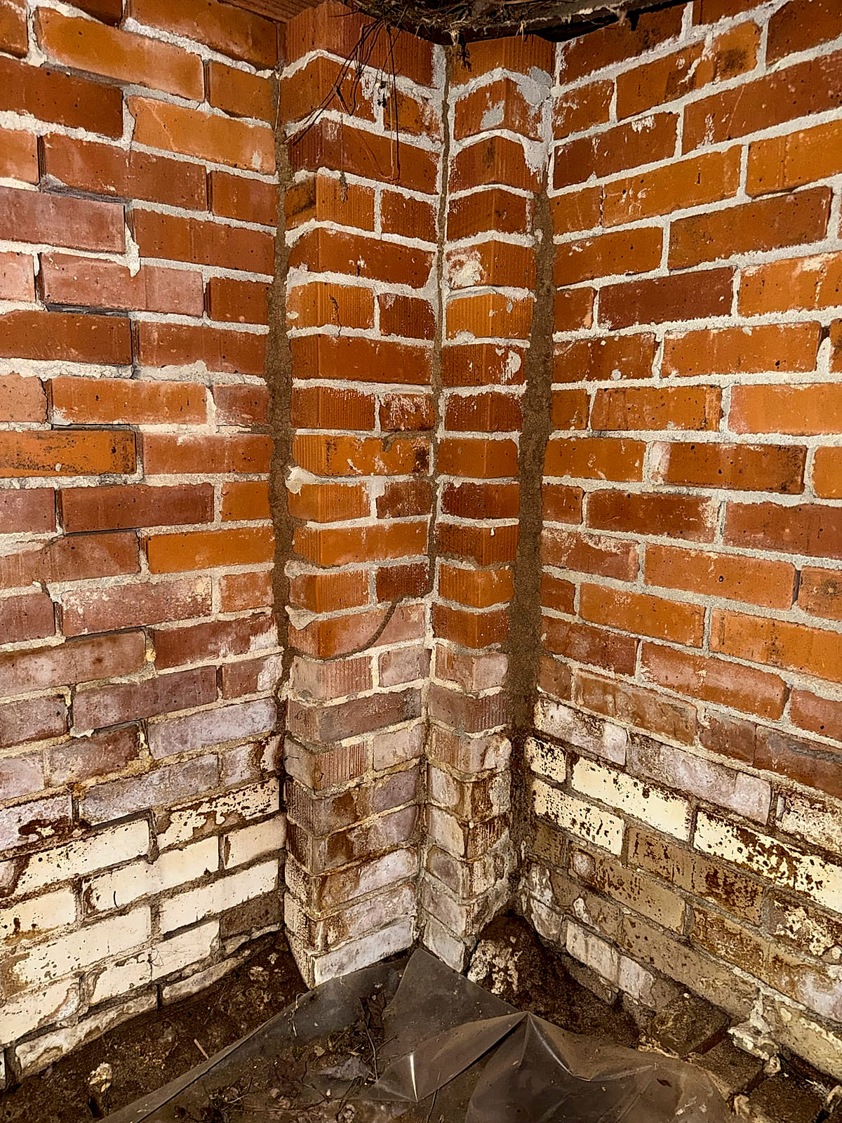 Termite mud tubes tracking across brick in a crawl space