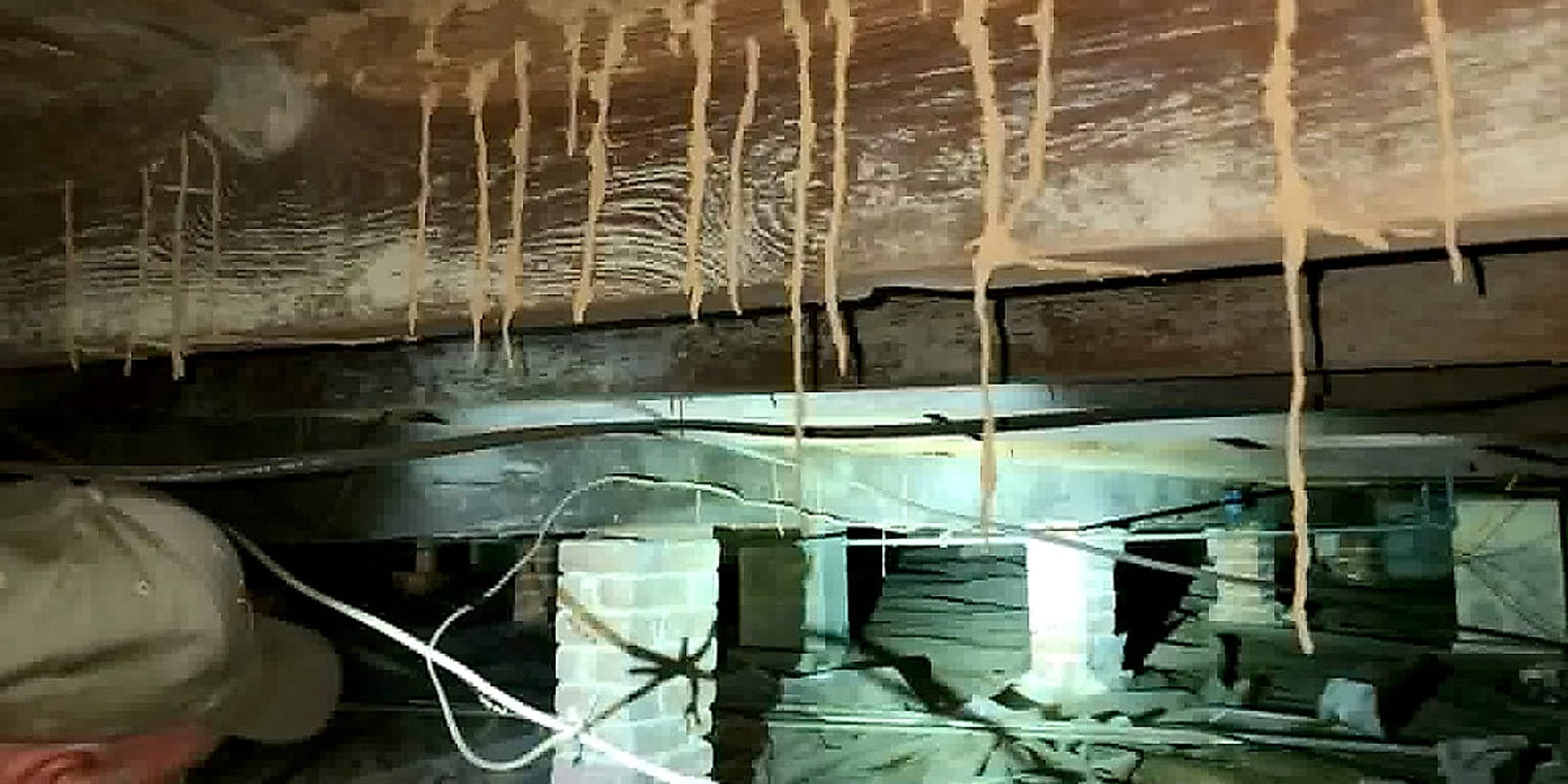 Termite mud tubes hanging from a floor joist in a Pine Belt crawl space